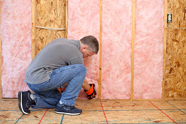 Best Wall Insulation Installation  in Wlowbrook, IL